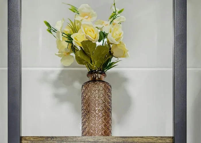 Yachting Bay سيكسال